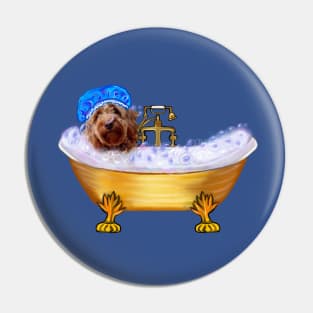 Dog spa day- Cavapoo puppy in bubble bath. Cute cute cavalier king charles spaniel puppy love ! Pin