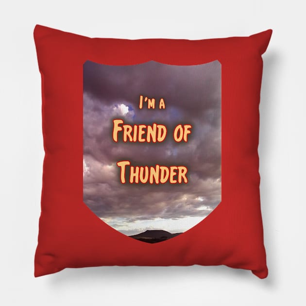 Friend of Thunder Pillow by damonbostrom