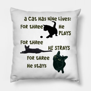 A Cat Has Nine Lives He Plays He Strays He Stays Quote Pillow