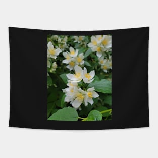 flower, white, beautiful, love, gift Tapestry