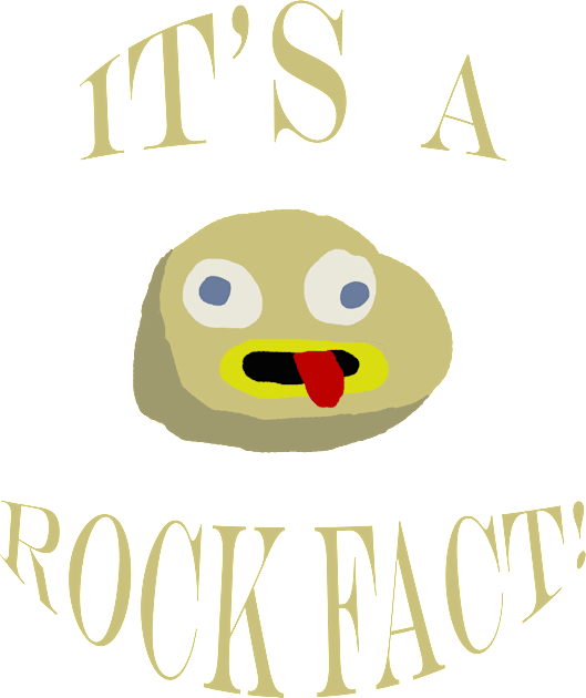 A Rock Fact Kids T-Shirt by WonderEggplant