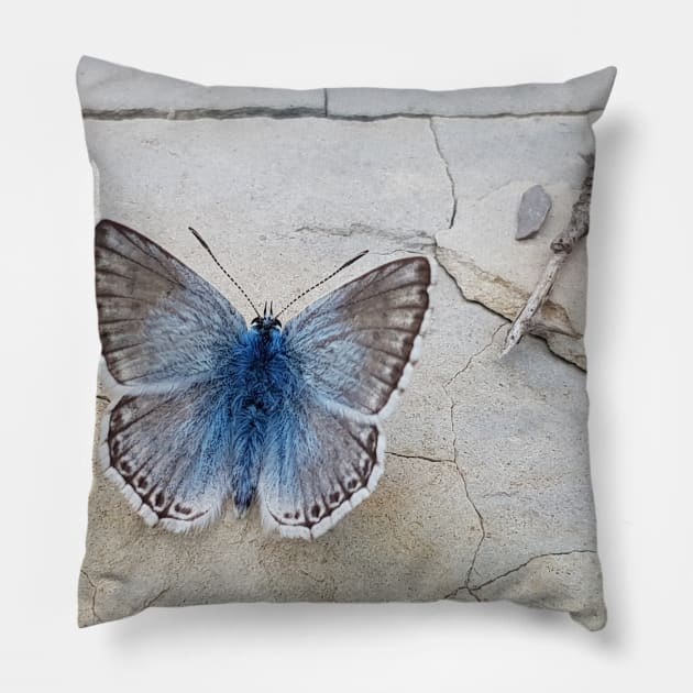 Blue butterfly Pillow by GribouilleTherapie