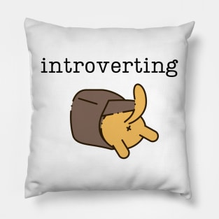 Introverting Pillow