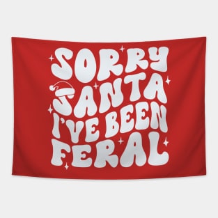 Sorry Santa I’ve been feral Tapestry