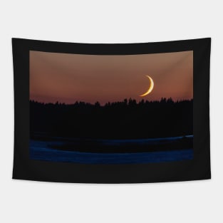 Crescent moon setting behind forest landscape Tapestry