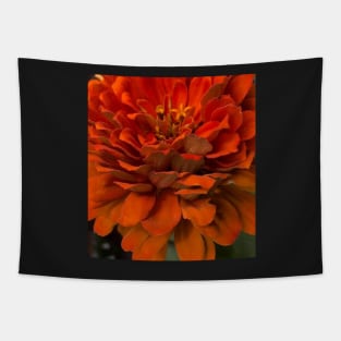 Fall Harvest Orange Zinnia Tapestry