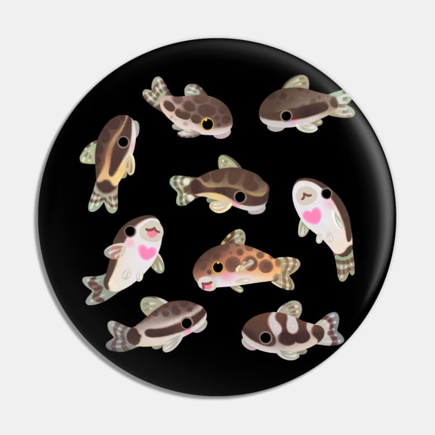 Otocinclus Pin by pikaole