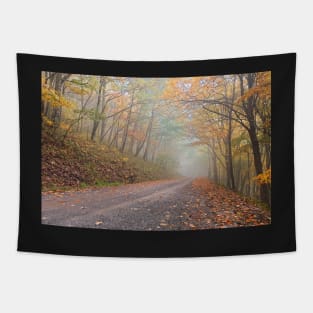 Misty Autumn Forest Road Tapestry