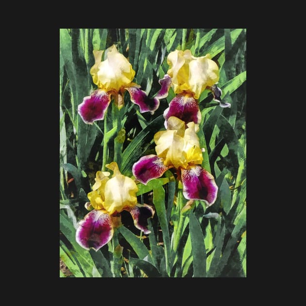 Vingolf Irises by SusanSavad