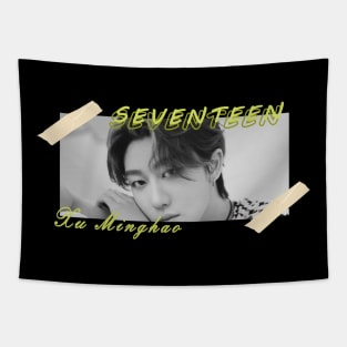 Kpop Design The8 Seventeen Tapestry