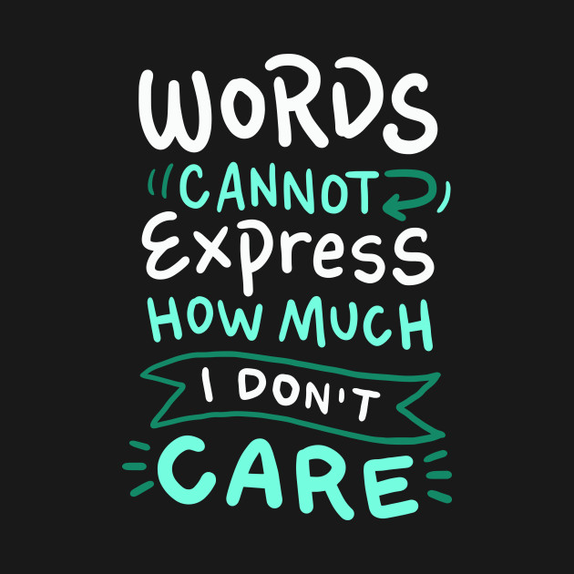 Words Cannot Express how much I Don�t Care Funny Sarcasm