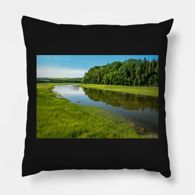 Mabou River Pillow by kenmo