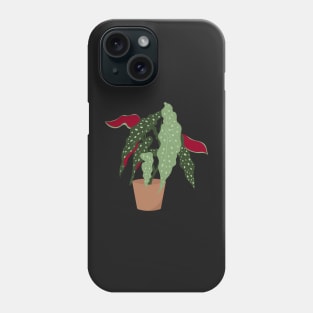 Begonia maculata plant in a pot Phone Case