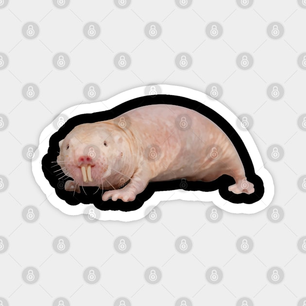 Naked Mole Rat Gift Funny Sand Puppy Hairless Rodent Vermin Kids Animal Biology Magnet by Shirtsurf