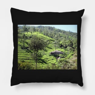 Indian Tea Garden Pillow