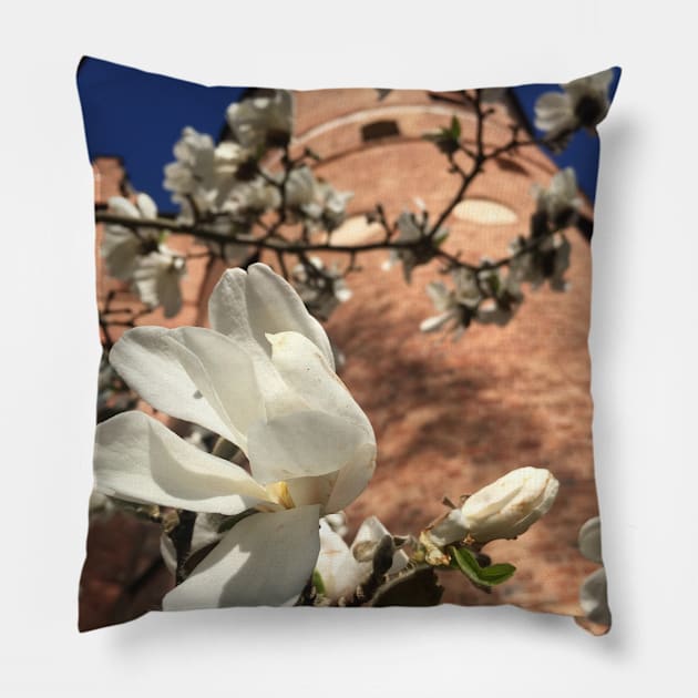 Nature it's my Soul Pillow by Adelelitim