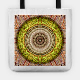 Equilibrium Tote