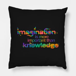 Imagination is more Important than Knowledge Pillow