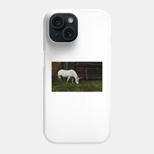 Do you believe in Unicorns? Phone Case