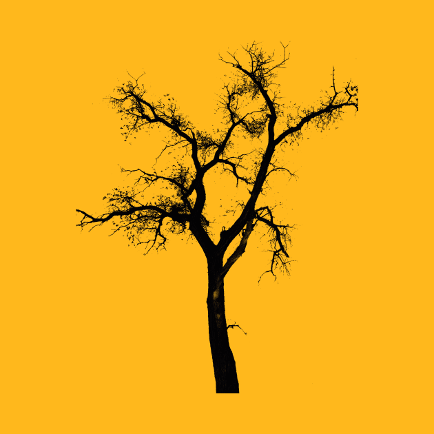 wild simple tree by pholange