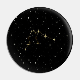 Aquarius Star Constellation Pin