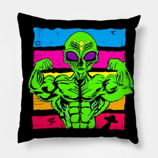 My cat never likes aliens, Aliens Don't Believe in You, Either, Pillow