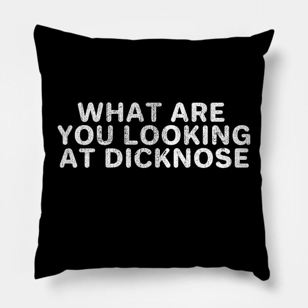 What are you lookin at? Pillow by Sunny Legends