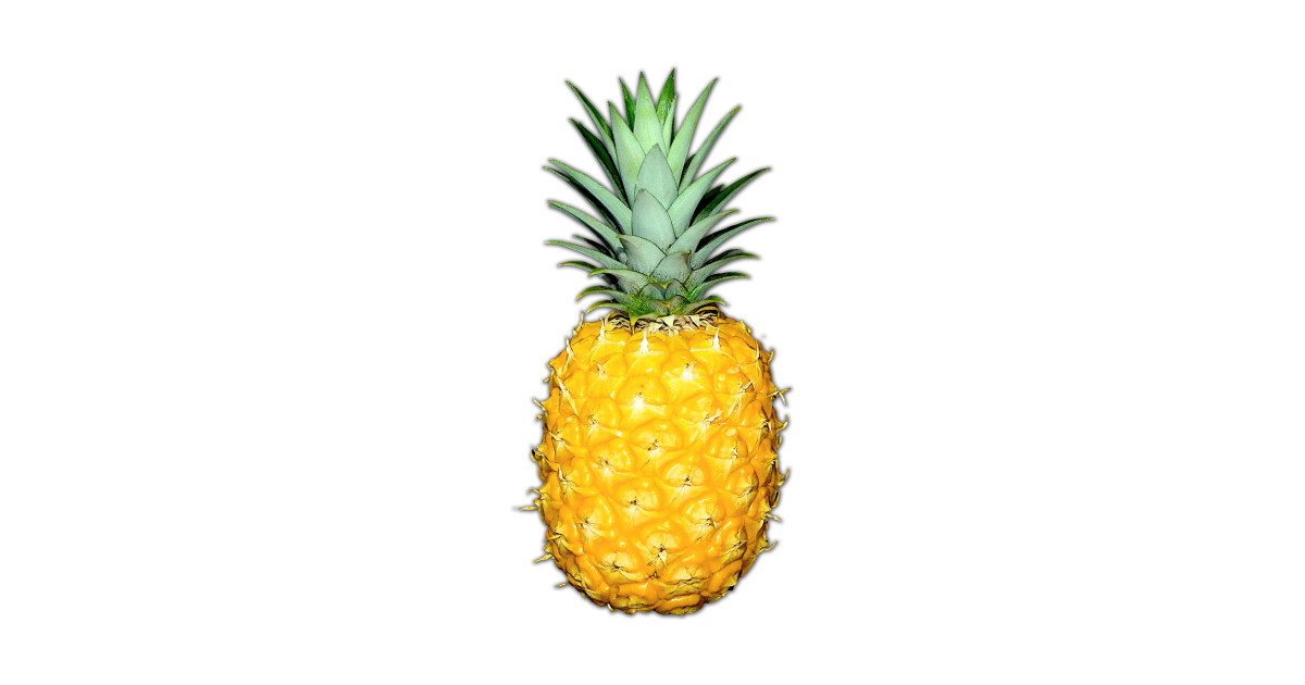 Big Pineapple Pineapple TShirt TeePublic