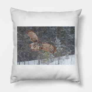 Through the Snow - Great Grey Owl Pillow