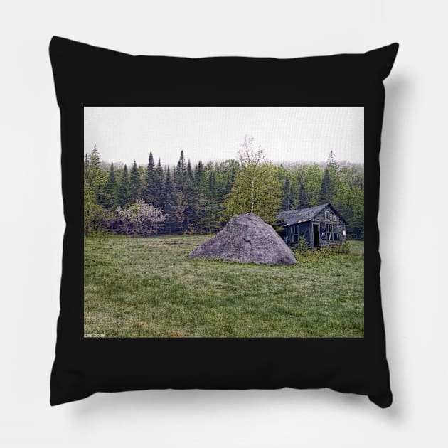 Rustic Remnant Pillow by BeanME