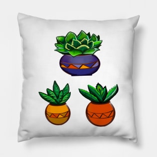 succulents cacti cactus in ornamental antique vases. succulents Pillow