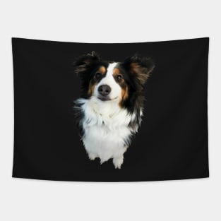 Penny - Border Collie Tapestry