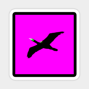 Flight of the Cormorant in the Pink Sky! Magnet