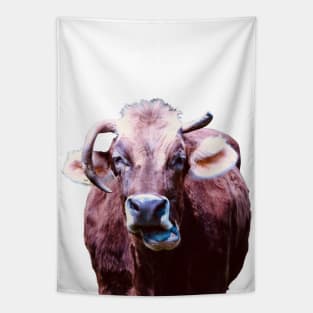 The ugliest cow in Switzerland / Swiss Artwork Photography Tapestry