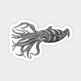 Squid Magnet