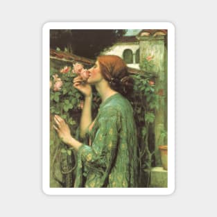 My Sweet Rose (aka The Soul of the Rose) by John William Waterhouse Magnet