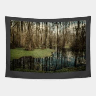 Swamp in Southeastern Georgia Tapestry