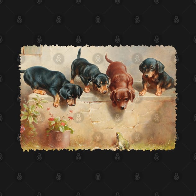 Dachsund puppies meet a frog by UndiscoveredWonders