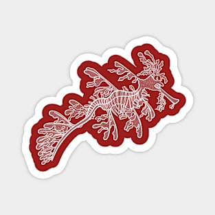 Leafy Seadragon detailed hand drawing Magnet