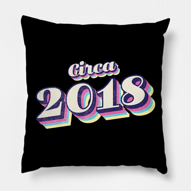 2018 Birthday Pillow by Vin Zzep