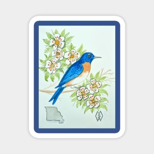 Missouri state bird & flower, the eastern bluebird & hawthorn Magnet