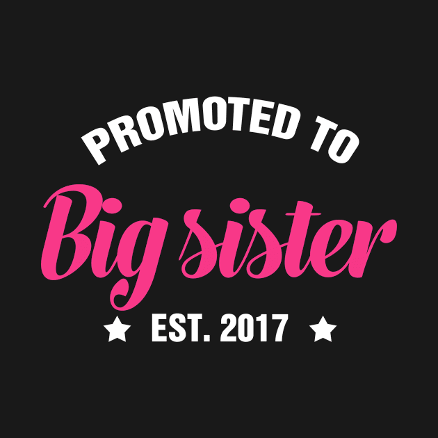 PROMOTED TO BIG SISTER EST 2017 gift ideas for family by bestsellingshirts