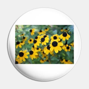 Black-eyed Susan Pin