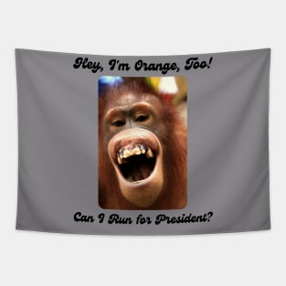 I'm Orange, Too! Can I Run for President? Tapestry