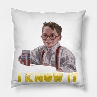 Home Alone: Fuller Pillow