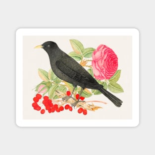 Black Bird with Roses (18th Century) Magnet