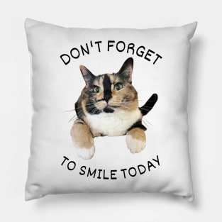 Don't forget to smile today! Pillow