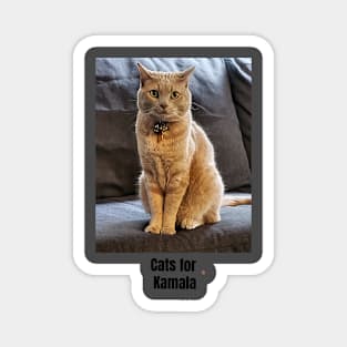 Cats for Kamala Magnet