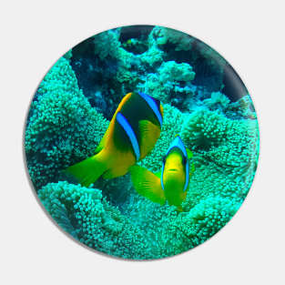 Clownfish in anemone Pin