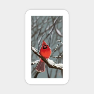 Cardinal in Snow Magnet